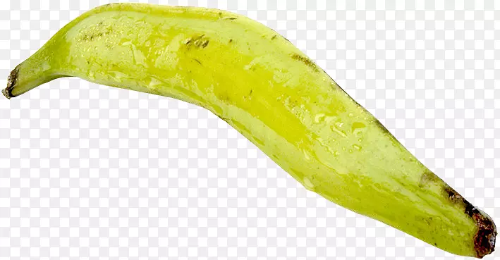 ����㽶�߲�-������