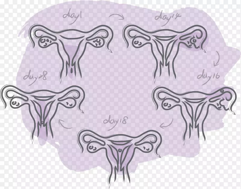 ʳ���Ӿ�������������.����-������