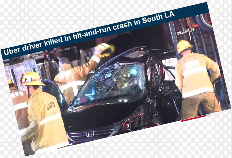 �������չʾ�������-����-������