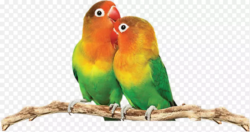 ����������Ŀɰ�����װ��ͼ��-������