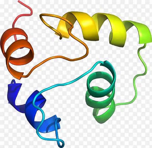 �����鱦�߼�������-������