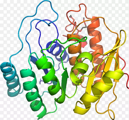 �л��������鱦��������-������