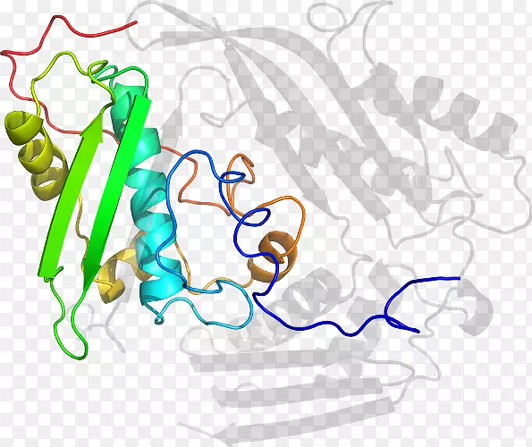 ������Ϊ���л������-������