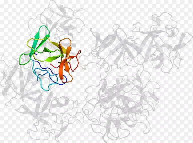 ��������ƽ����Ƽ��������-������