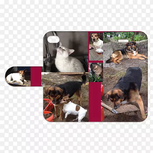 Ȯ��С��-������