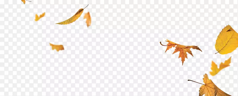 ���洫����-������