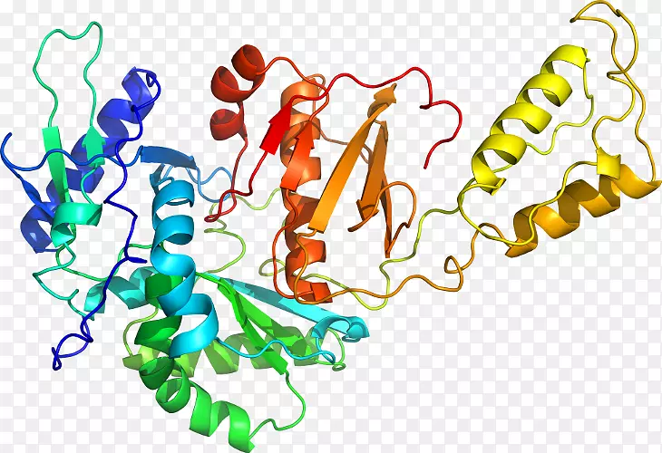 ���������л����߼�������-������