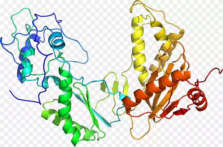 ����ʳ���鱦ϵ�м�������-������