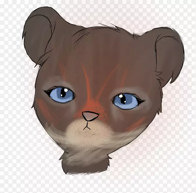 ���룬Сè�����ӣ�צ�ӣ��۾�-Сè-������