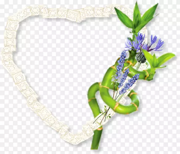 ������ƻ����鱦����ֲ��.���-������