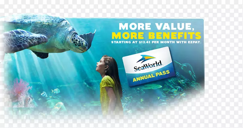 ���ˮ����Ʒ���л���-ˮ-������