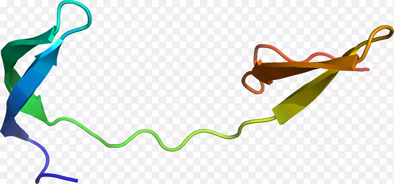 �ߵ������-��-������