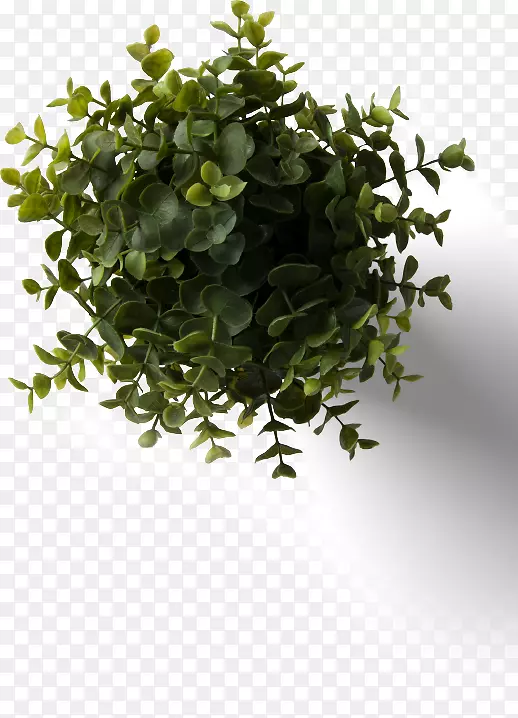 �˵�ģ�Ͳ���ͼ�����-����������ͼ-������