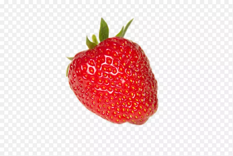 ��ݮ�����¸���˹ʳƷ-erdbeeren-������