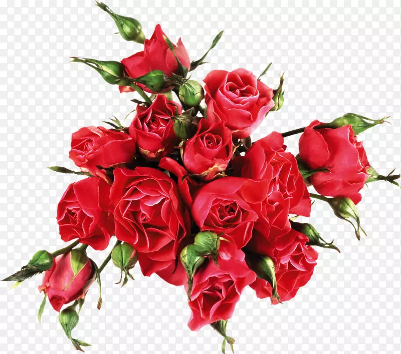 ̨ʽ����ֽ�ʼǱ����Թ��ʸ�Ů��-�ʼǱ�����-������