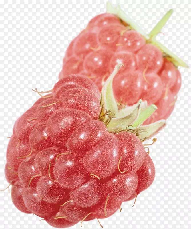 �����Ӳ�ݮ��������-������