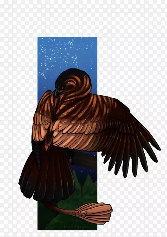 ʳ����-������