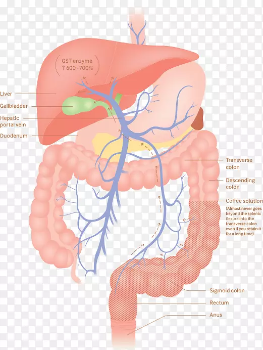 ���ȹ೦�ⶾ-����-����-������