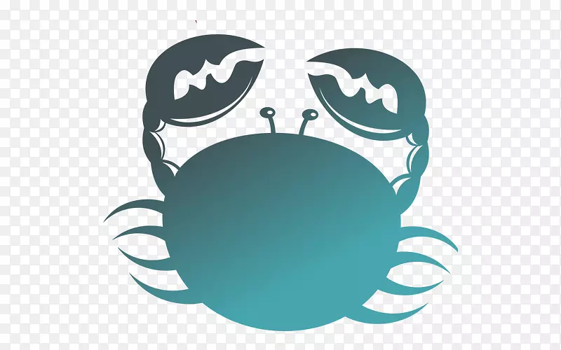 ��֢ռ��������ռ����˫����-������