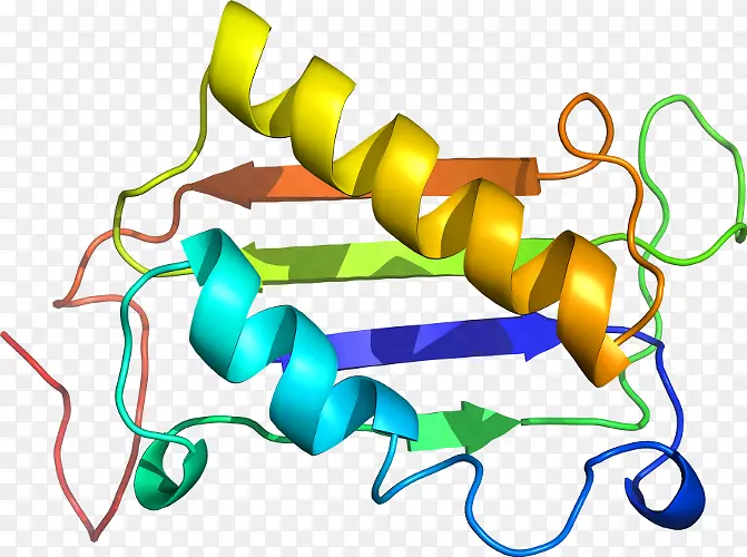 �ߵ������-��-������