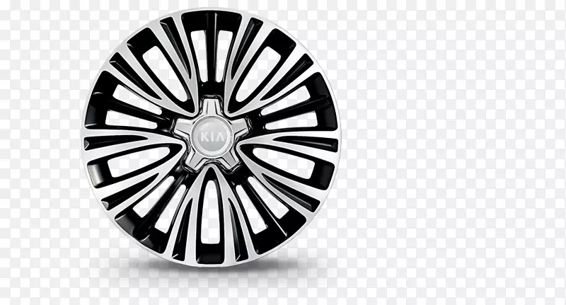 2018�긣��c-max����ѳ��Ͻ���-������