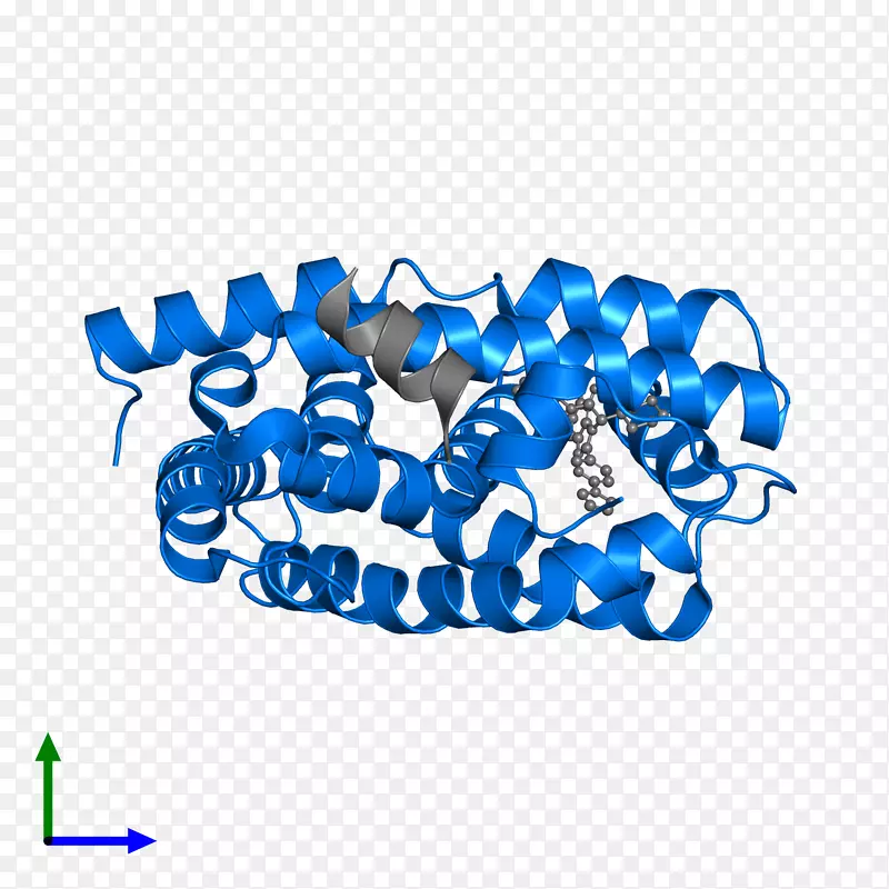 �߼��������-������