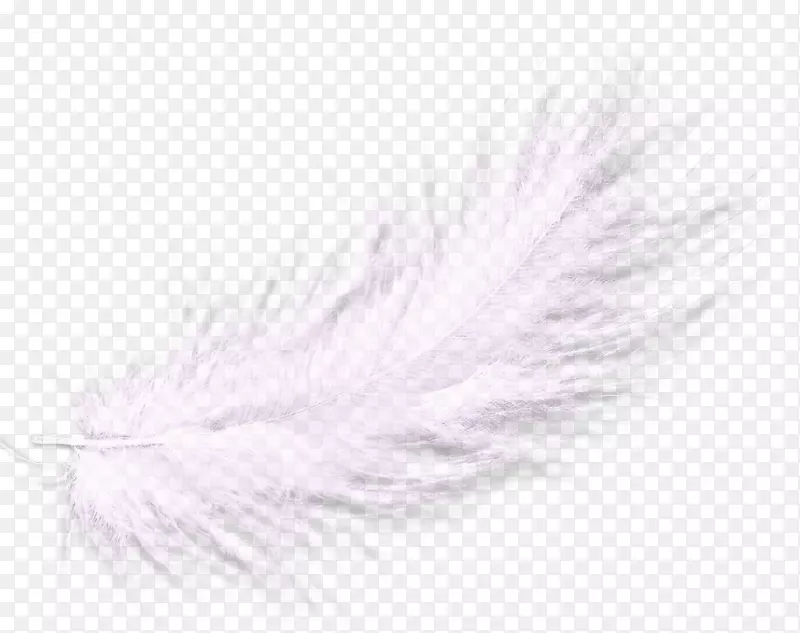 ��ë-��ë���Ͽ�������-������