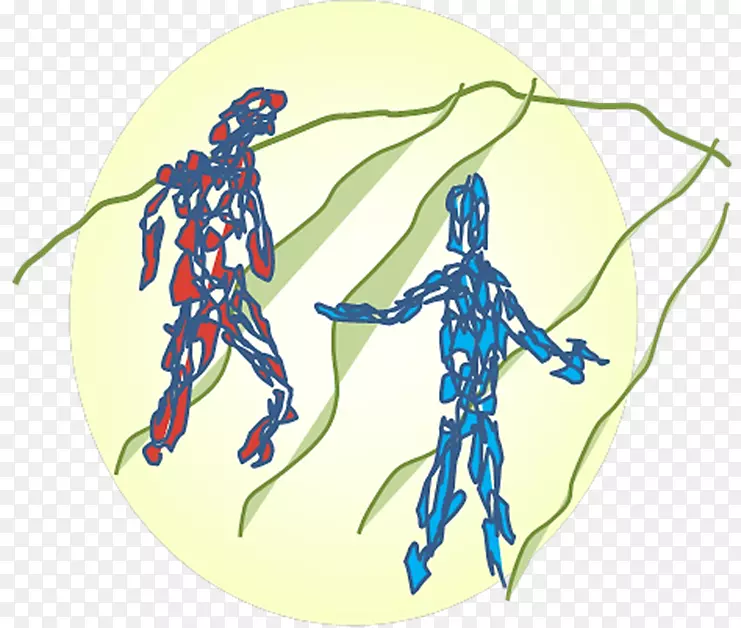 ���漹׵���￨ͨ������-��Ϣ����-������