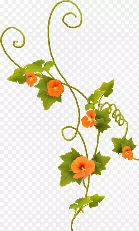 �������-������