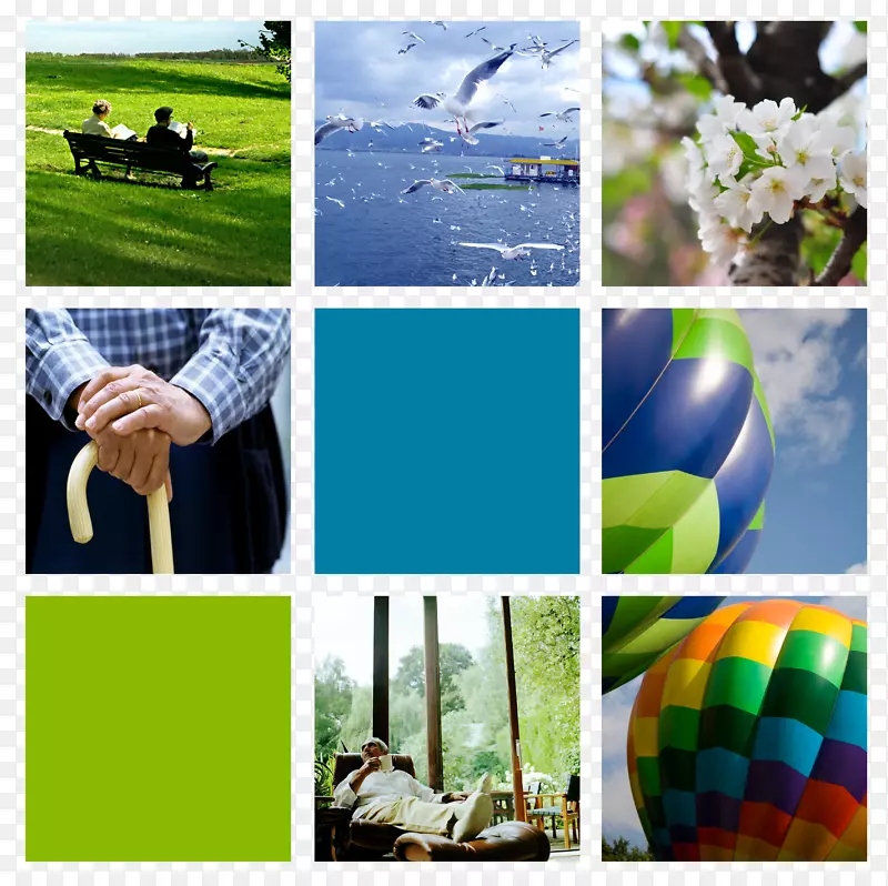 ����adobe�廭-�����ˣ�������Ƭ-������