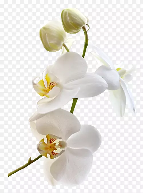 �ɶ����л���������-������