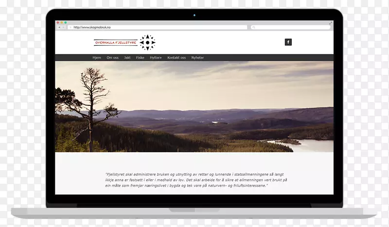 ��ʾ�豸��ý������������-������