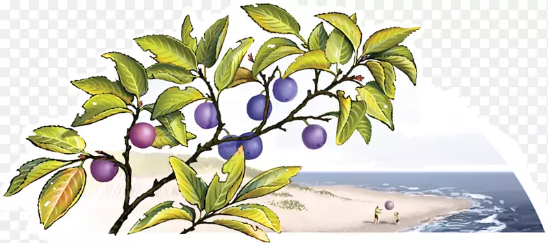 ��������л�ˮ�����-������