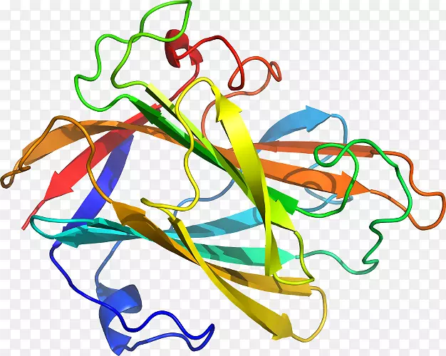 �ߵ������������-������