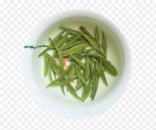 ����������ë��豭-���ײ��-������