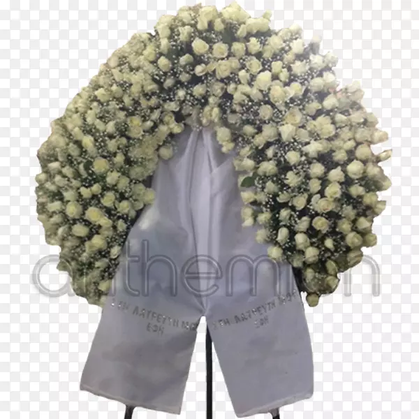 ������ë.����-������