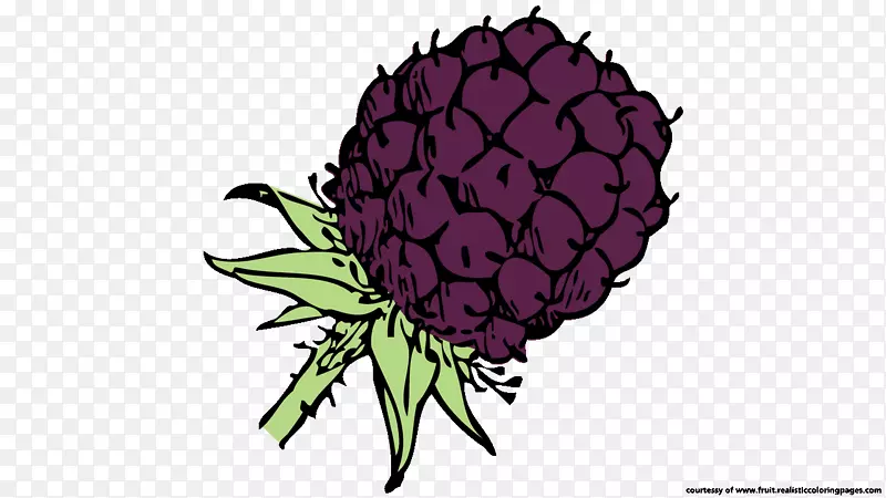 ��ݮ����2��ݮ���̼�����-��ݮ-������