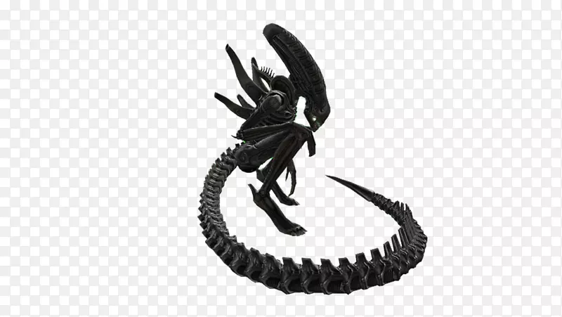 �����ɫ����˵�е�����-����-������