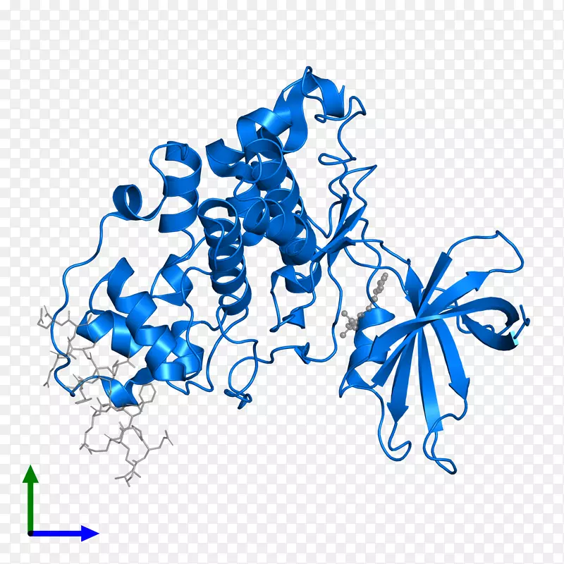 �ߵ������������-������