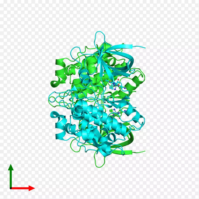 ����������-������