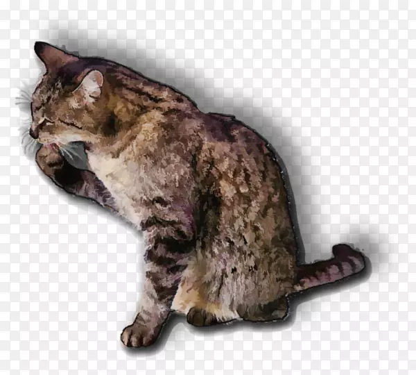 ���������ǵ�������ŷ�޵��ټ��ֻ�Сè��������ߡ�-������