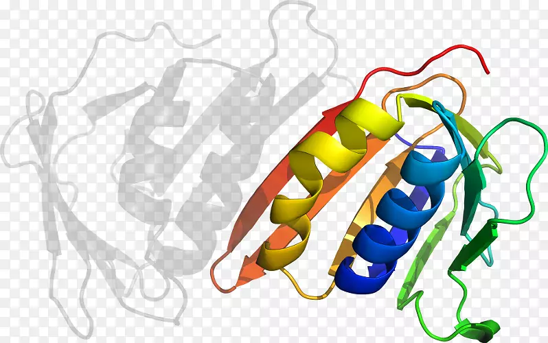 �߲˼�����-�߲�-������