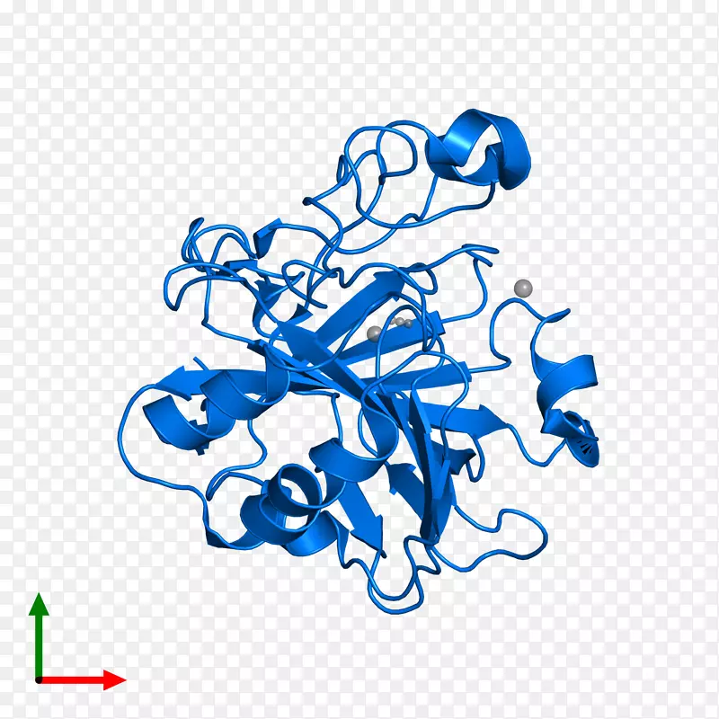 �ߵ������-��-������