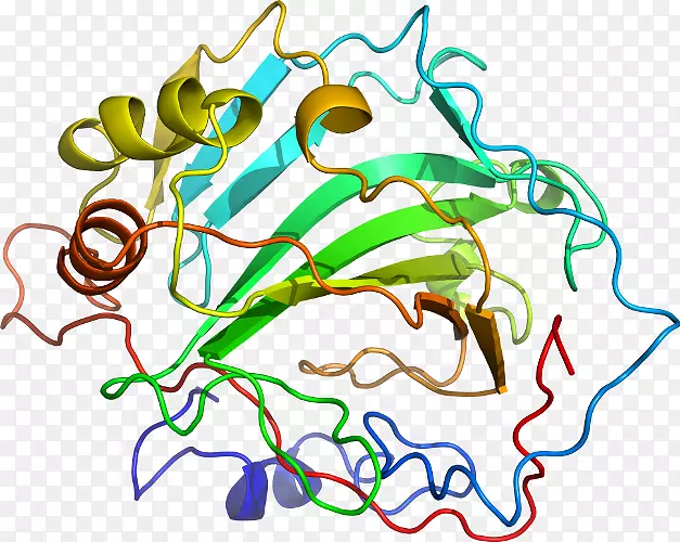 ֱ�ߵ�Ҷ��������-������