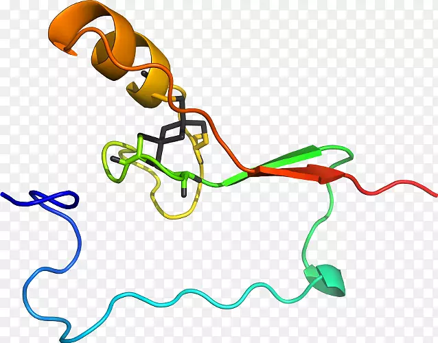 ���������������-Russet Burbank-������