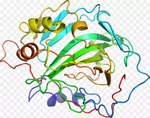 ֱ�ߵ�ֲ�ﾥ��������-������