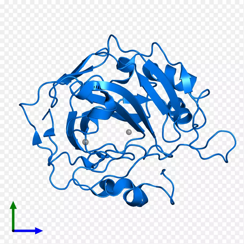 �ߵ������-��-������