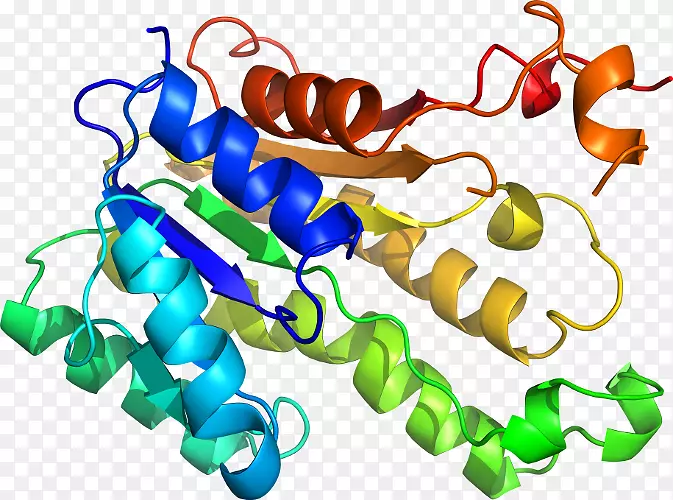 ���������л����߼�������-������