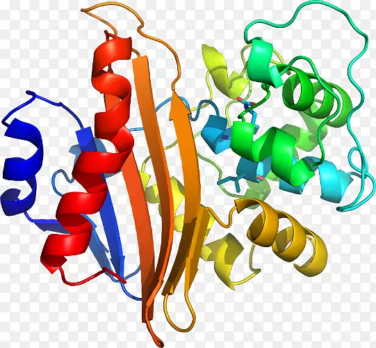 �߲��л���ϵ�м�����-�߲�-������