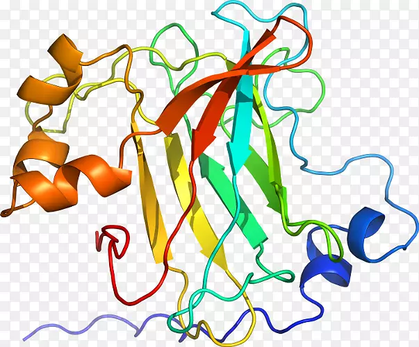 �ߵ������������-������